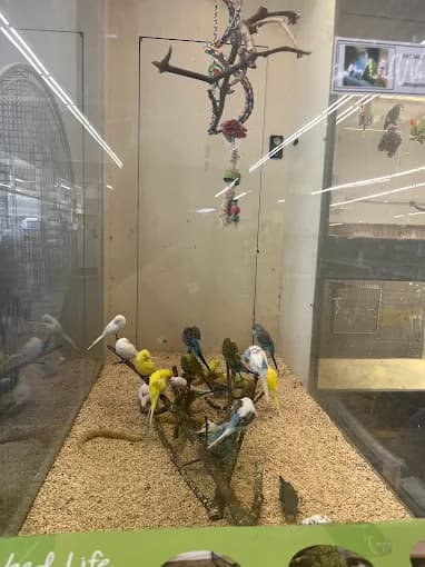 Reptile habitat displays