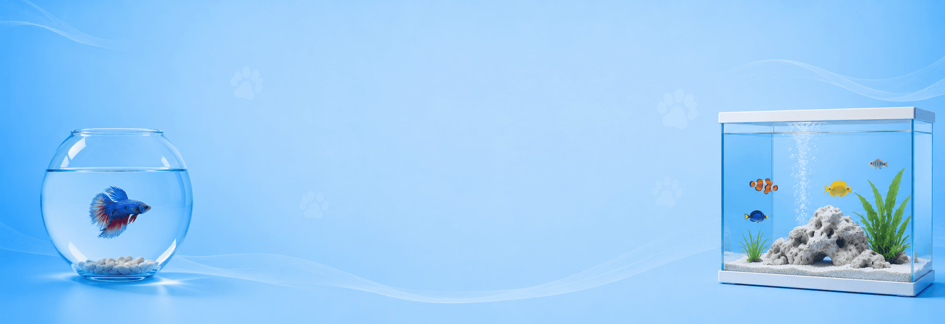 Aqua Jet Water Cleaning System