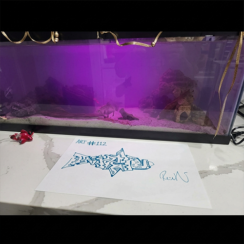 Sarah's aquarium setup